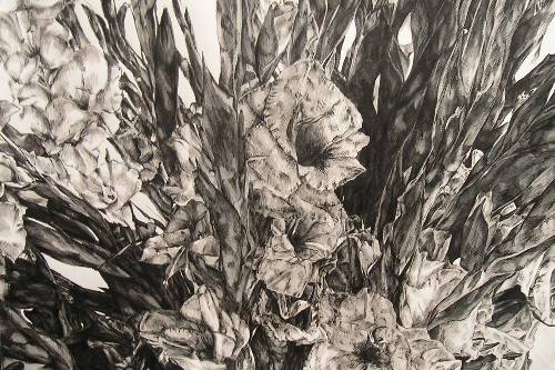 Funeral Flowers, J. M. Wright, 2004,
      ink on paper, 18 by 24 inches